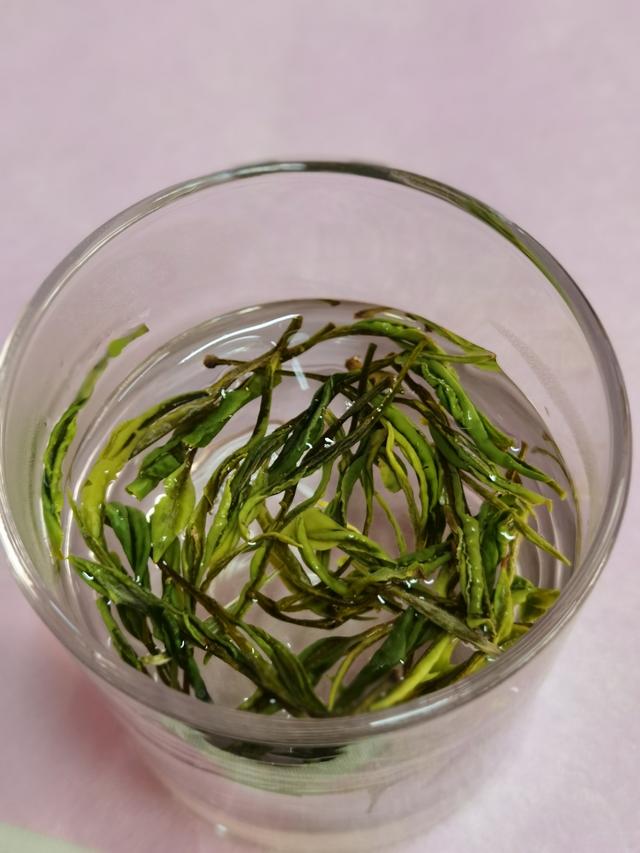 真茶真味，分享真意