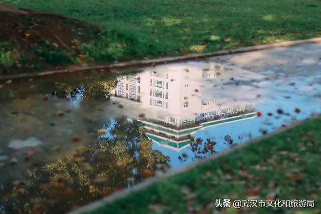 你好，珞珈山的夏天……