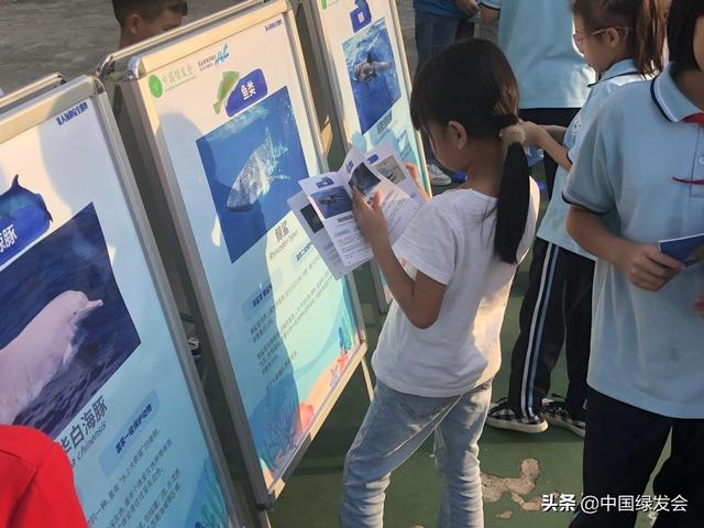 小学生海洋工程的展报