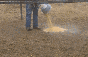 一个A股段子手的年末总结