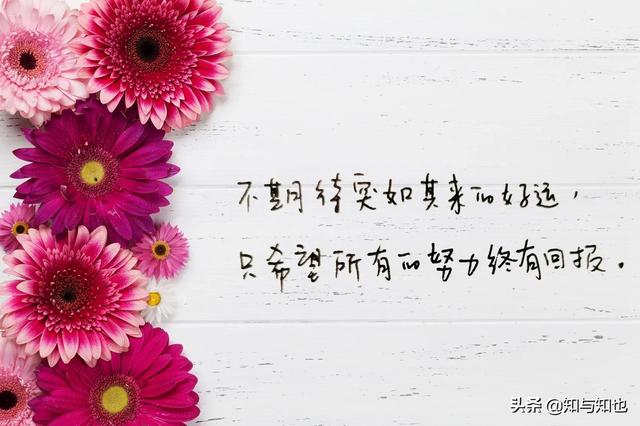 抄书第80天，每日寄语，温暖你我4～愿你依然生如夏花，笑如温阳