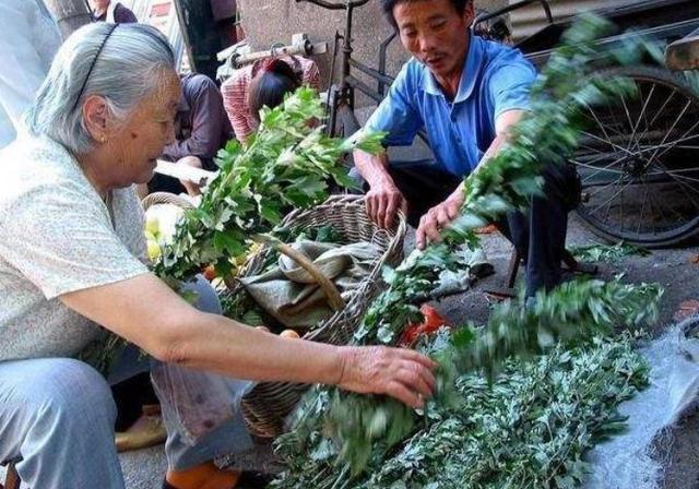 睡前坚持用艾叶泡脚，或能帮你改善这5种问题，不妨试试