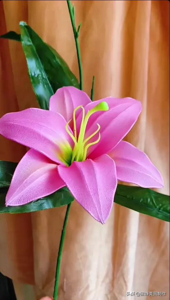一花一世界，姹紫嫣红，婀娜多姿，带来了美好的心情