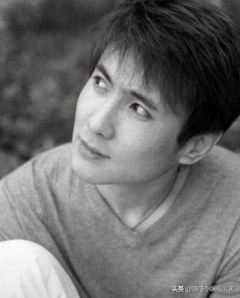 年轻时帅气无双，老了却丑的各具特色，这5位男星，好可惜