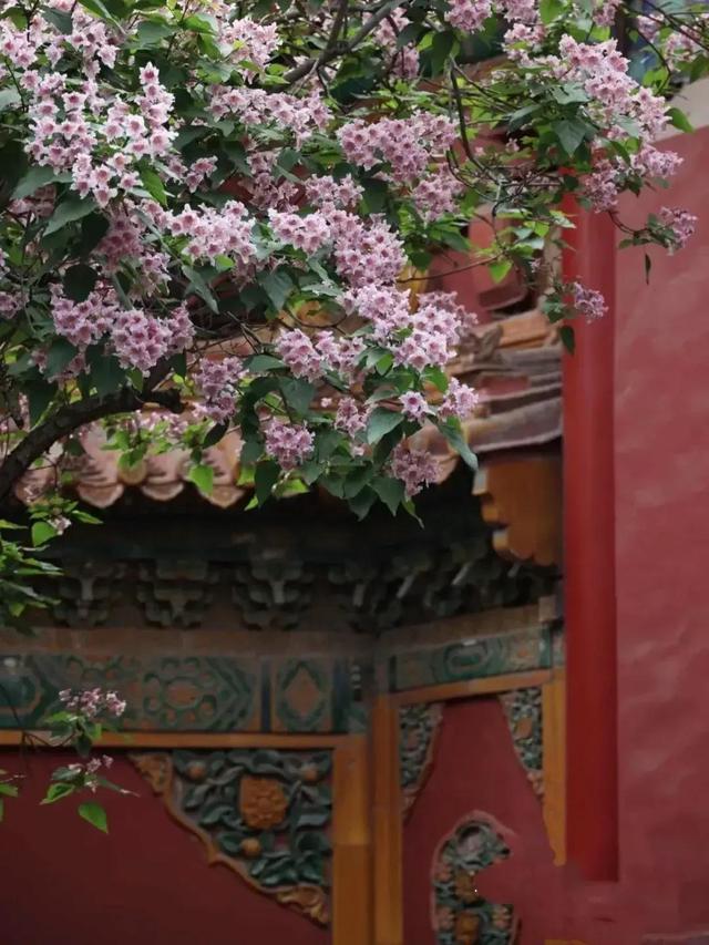 千万春花次第开