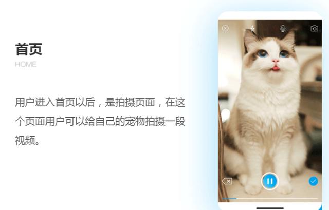 宠物视频APP开发，为拍摄宠物成长提供便利-郑州犇犇科技