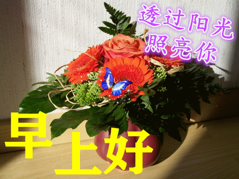 回复早上好问候语温馨短句(高情商早上好问候语温馨短句) - 个人创业 