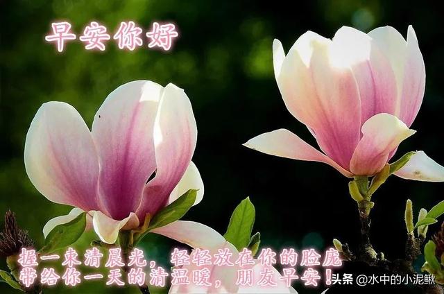 微信朋友圈早安正能量短句分享，句句精辟