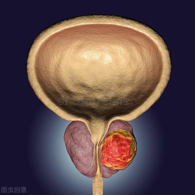 ca724he和细胞角化蛋白片段