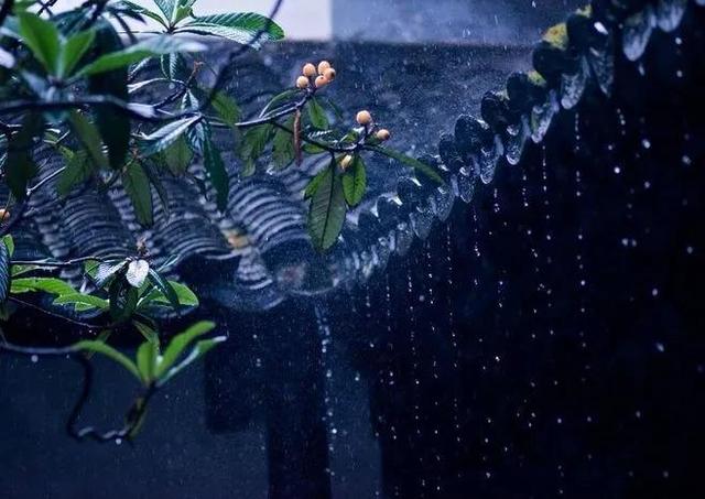 「散文」春雨 春雨
