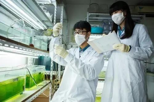 生物工程展业就业前景