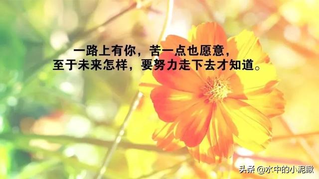 早安心灵鸡汤句句经典正能量，最棒的微信早安语录句子
