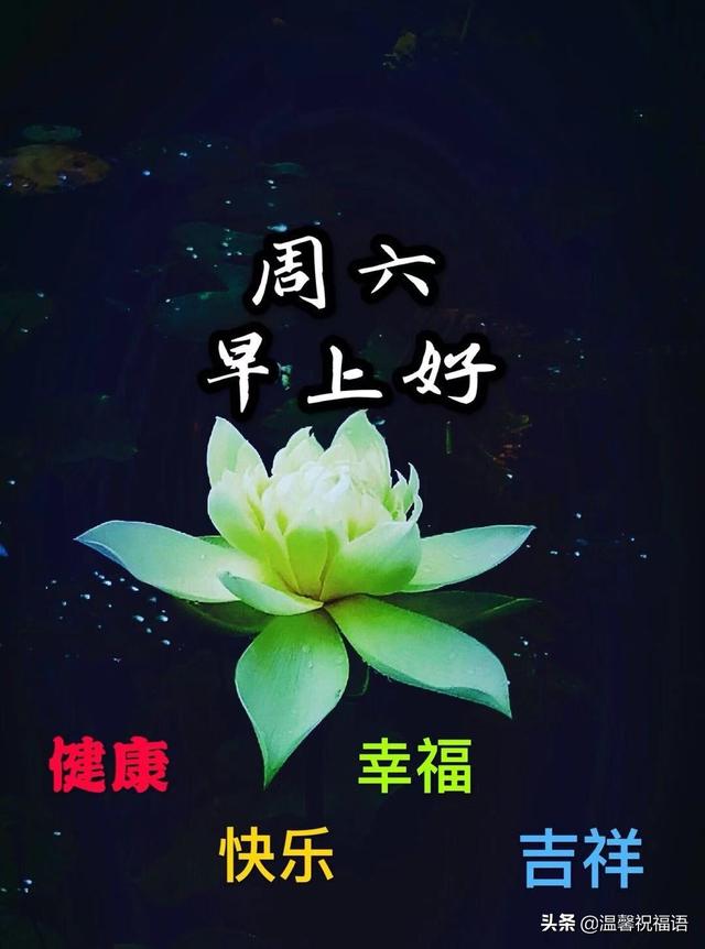 非常漂亮的周六早上好图片带字带祝福语