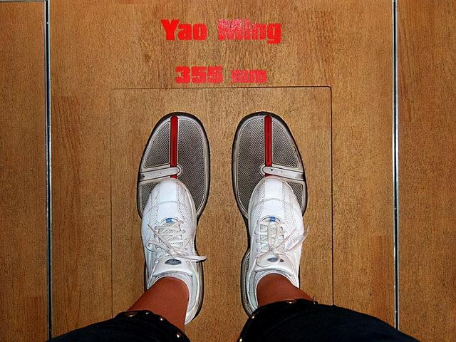 ����˭�ĽŴ�(NBA���˴�ŷ�4��Ʒ����Ҧ��53��A����������S������SSS�ж��ͣ�)