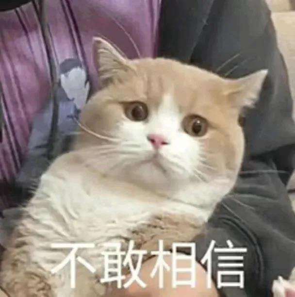 小白妈妈也能轻松上手的英语启蒙，才是启蒙教育的正确打开方式