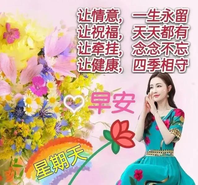 相遇红尘，浅夏花开