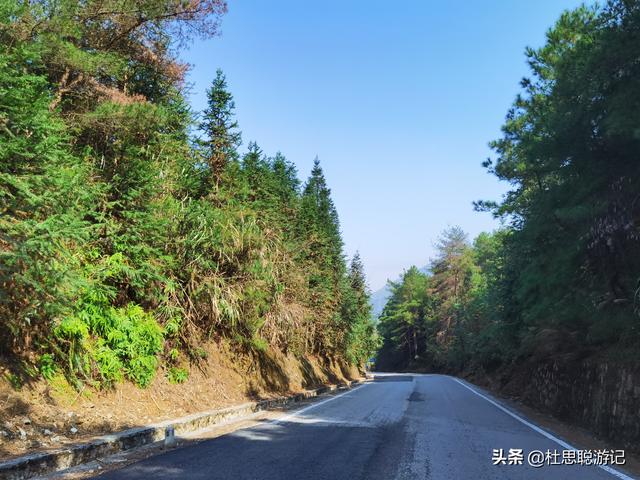 漢EV自駕廣西，秋冬的海洋鄉銀杏是不能錯過的風景區