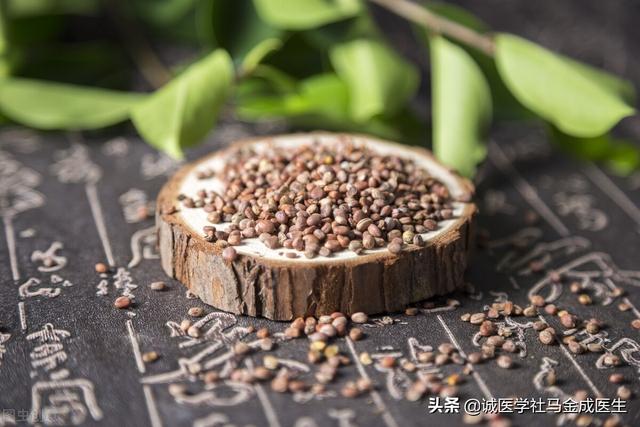痰多、腹胀、不消化，送你三味药，一味化痰、一味除胀、一味消食