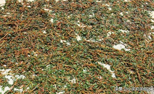 清明后，这5样野菜快老了，每样多摘点保存，一年都有“春菜”吃