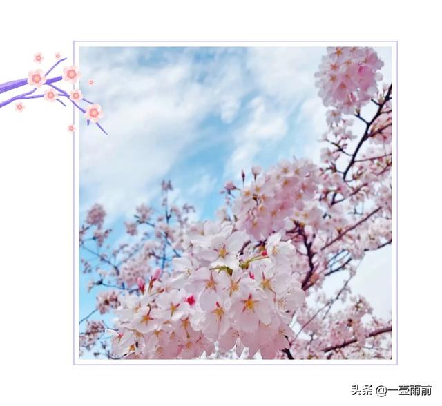 春·Spring