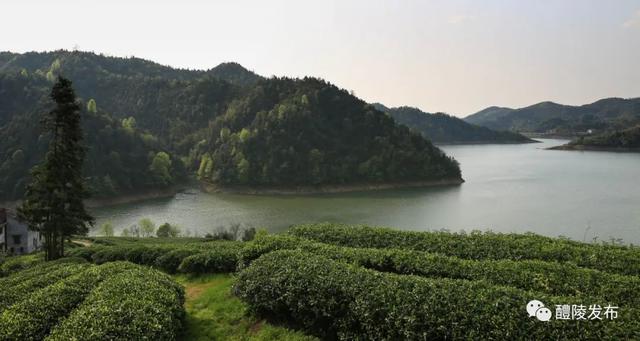 醴陵限定版美图上线，看完很哇塞！