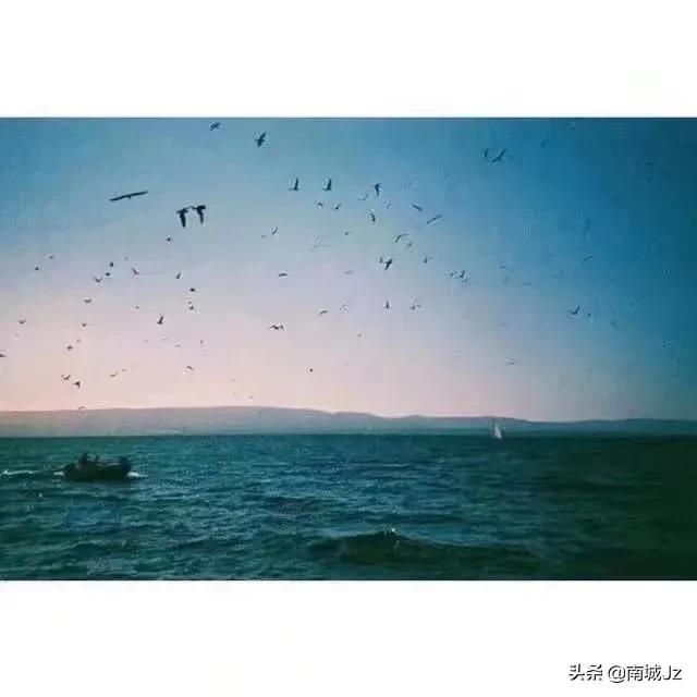度娘都搜不到的干净句子