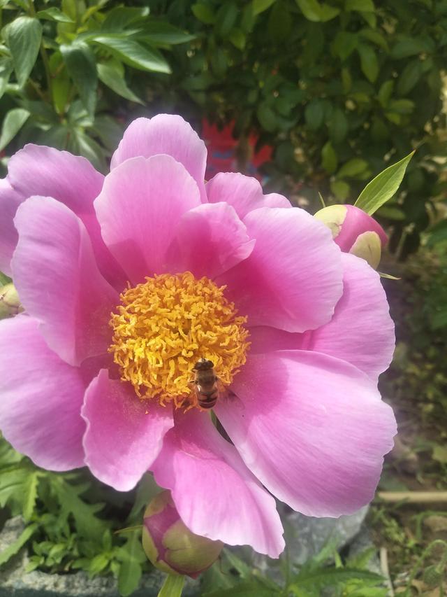 最好的季节