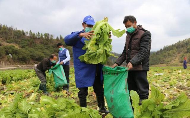 因一包酸菜，导致康师傅、统一流失数亿市值，严钦武到底什么来头