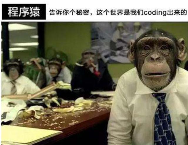 程序猿软件下载（程序猿下载）