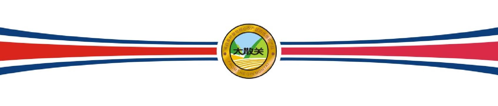 农业品牌营销顶层设计案例——陕西某镇农业公共品牌策划案