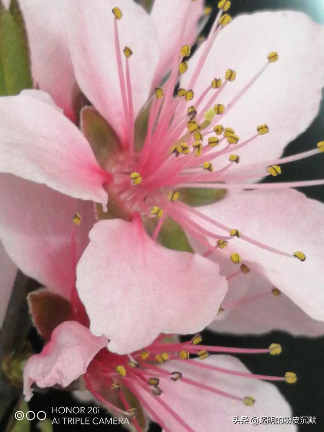 [云中君消息自动回复]，微信中手机联系人找不到