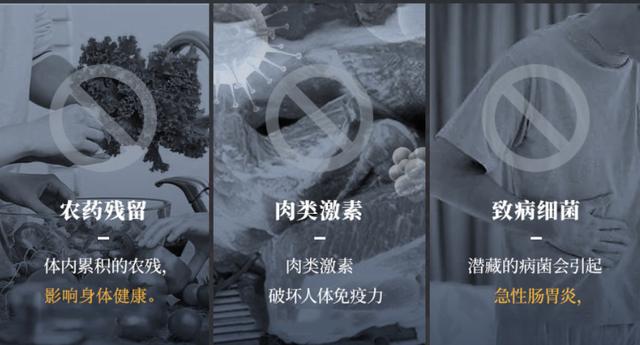 果蔬净化器真的比手洗得更干净？三款热门果蔬净化器对比测评