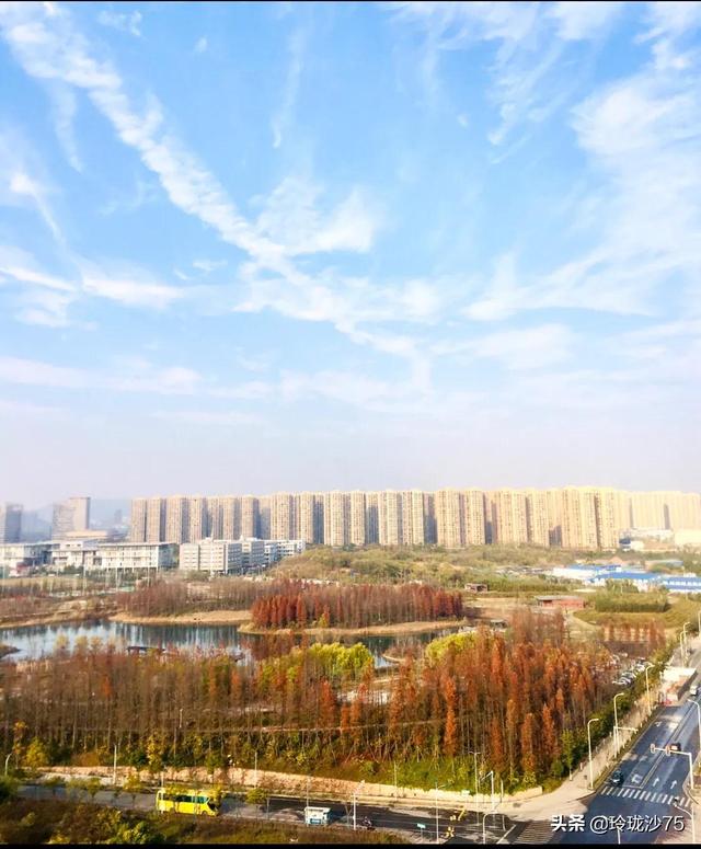 長沙唯一擁有戶外足球場的公園，更有大片水杉美景等你來