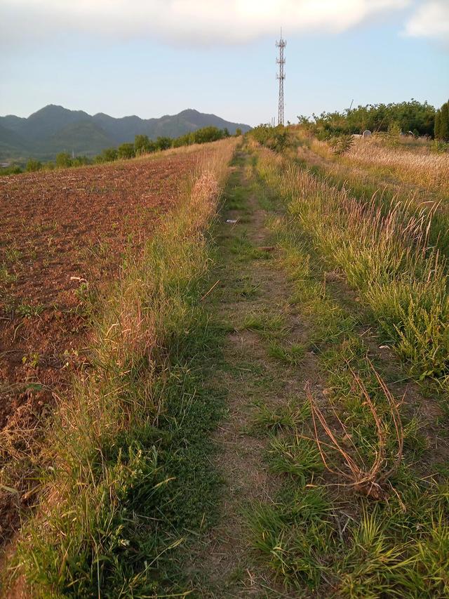 人间四月芳菲尽