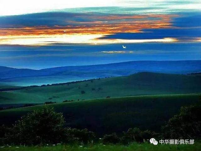 太美了！金奖摄影作品欣赏——