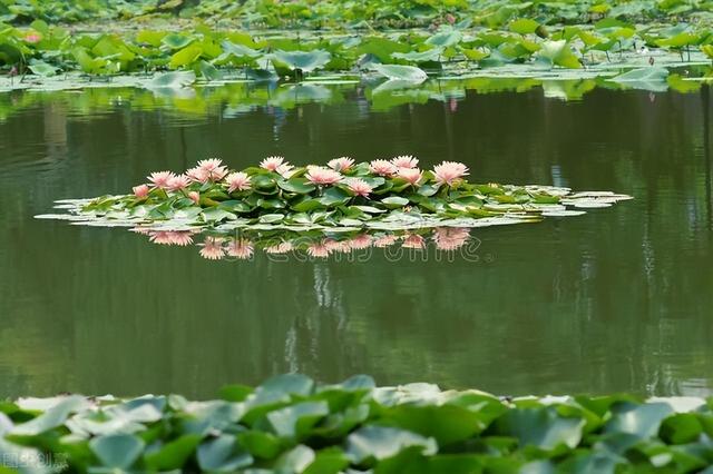 心灵陷阱救赎（4月20日夜，札记）