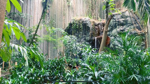 不去動物園就去安大略科學中心——多倫多旅行十天日記Day9