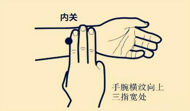肠胃不好？中医说可以这样进行调理，这些食物可以常吃