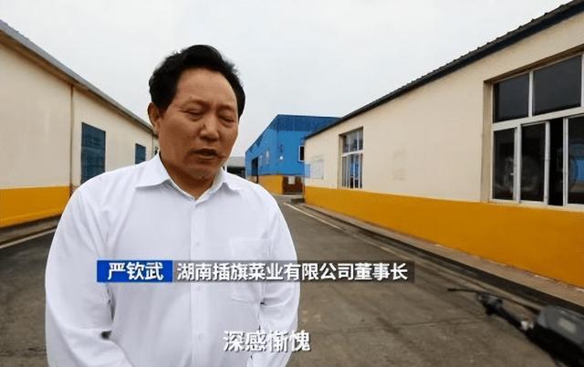 自毁长城的“土坑酸菜”，13万菜农如何自救？