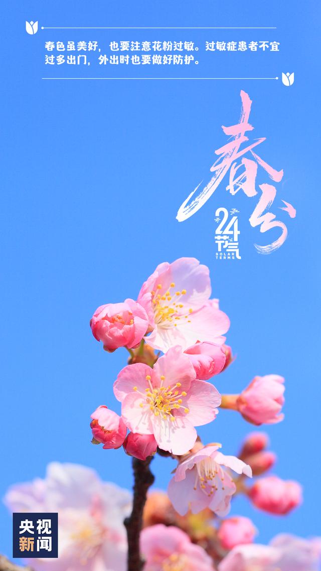 今日春分，莫负好时光！