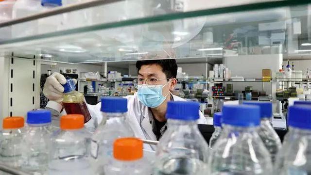 筛选几千个药物发现的千金藤素，上市还要多久？连花会受影响吗？