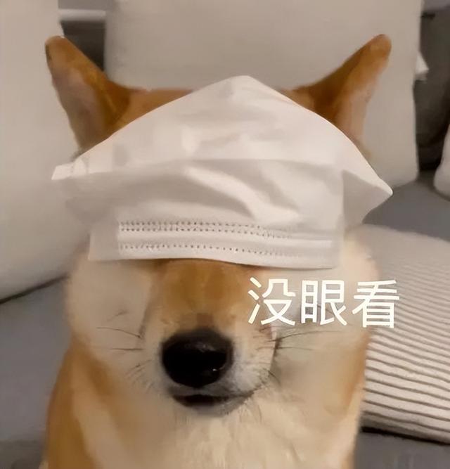 怎么把图片加上字转化成表情包(怎么把图片变成表情包加上字)