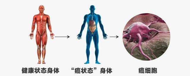 28歲患乳腺癌，38歲有了小寶寶！我想把自己的經驗分享給癌友們