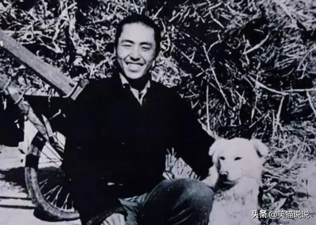 陈婷发文为张艺谋庆生，曝儿子被七所大学录取，名列前茅获奖学金