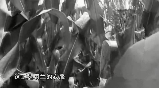 邯郸大型石粉洗砂机