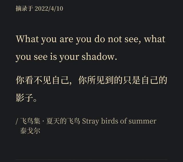 优美语句摘抄《飞鸟集》2