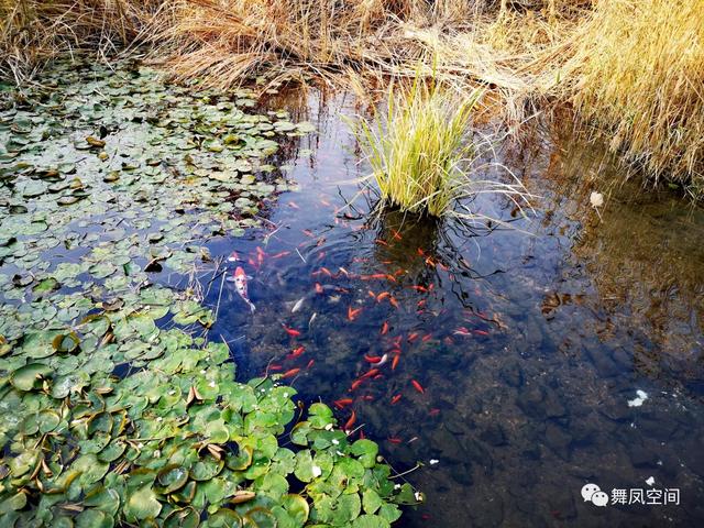 房山牛口峪濕地公園，沒想到風景如此優美
