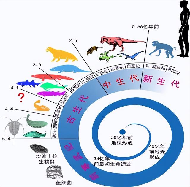 https://blog.sina.com.cn/s/blog_9766a3620102yz16.html