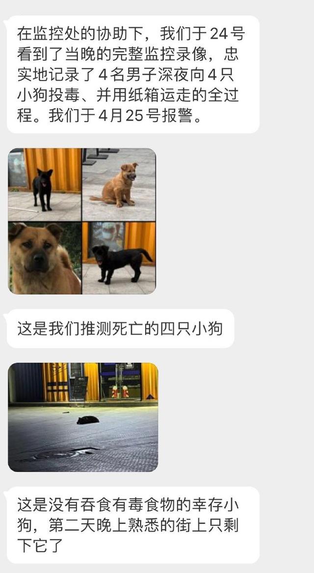 偷狗贼用药水喷狗，60秒后狗死亡，什么药这么毒，喷到人怎么办？
