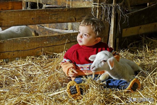 为什么小时候表现越乖、越懂事的孩子，长大之后心理问题越多？